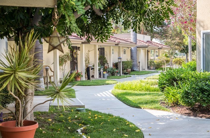 A serene residential area with a winding walkway surrounded by lush greenery.