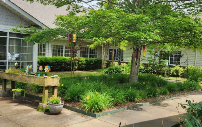 A beautifully landscaped garden outside a house with lush greenery and a paved pathway.