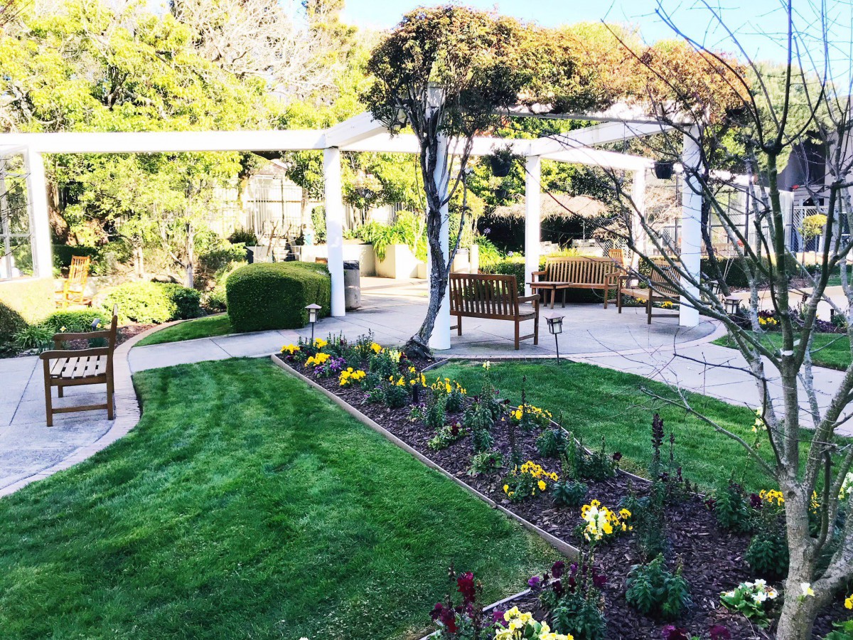 A beautifully landscaped garden with a pathway, blooming flowers, and a bench under sunny skies.