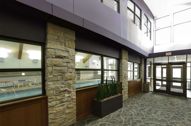 A modern building interior with stone walls, large windows, and potted plants in a corridor.
