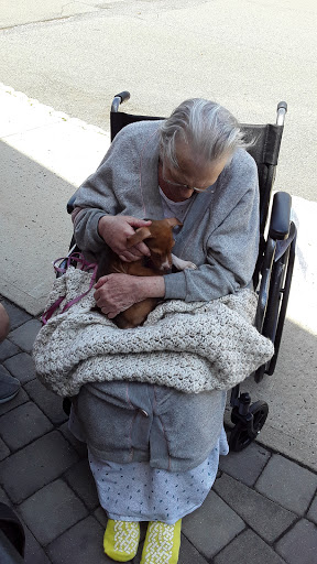 An elderly woman in a wheelchair lovingly holds a small dog, showcasing the bond between humans and their furry companions.