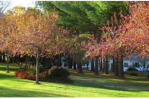 A scenic view of a park with colorful autumn foliage and a winding pathway.