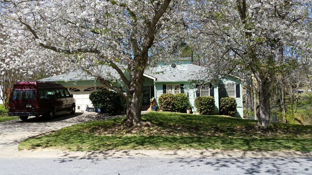 A quaint house surrounded by blooming trees on a sunny day.