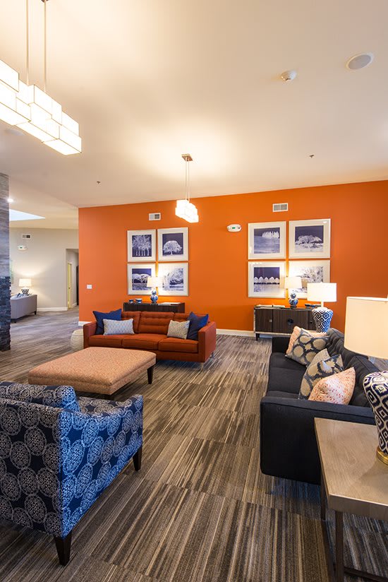 A modern living room with vibrant orange walls and stylish furniture.