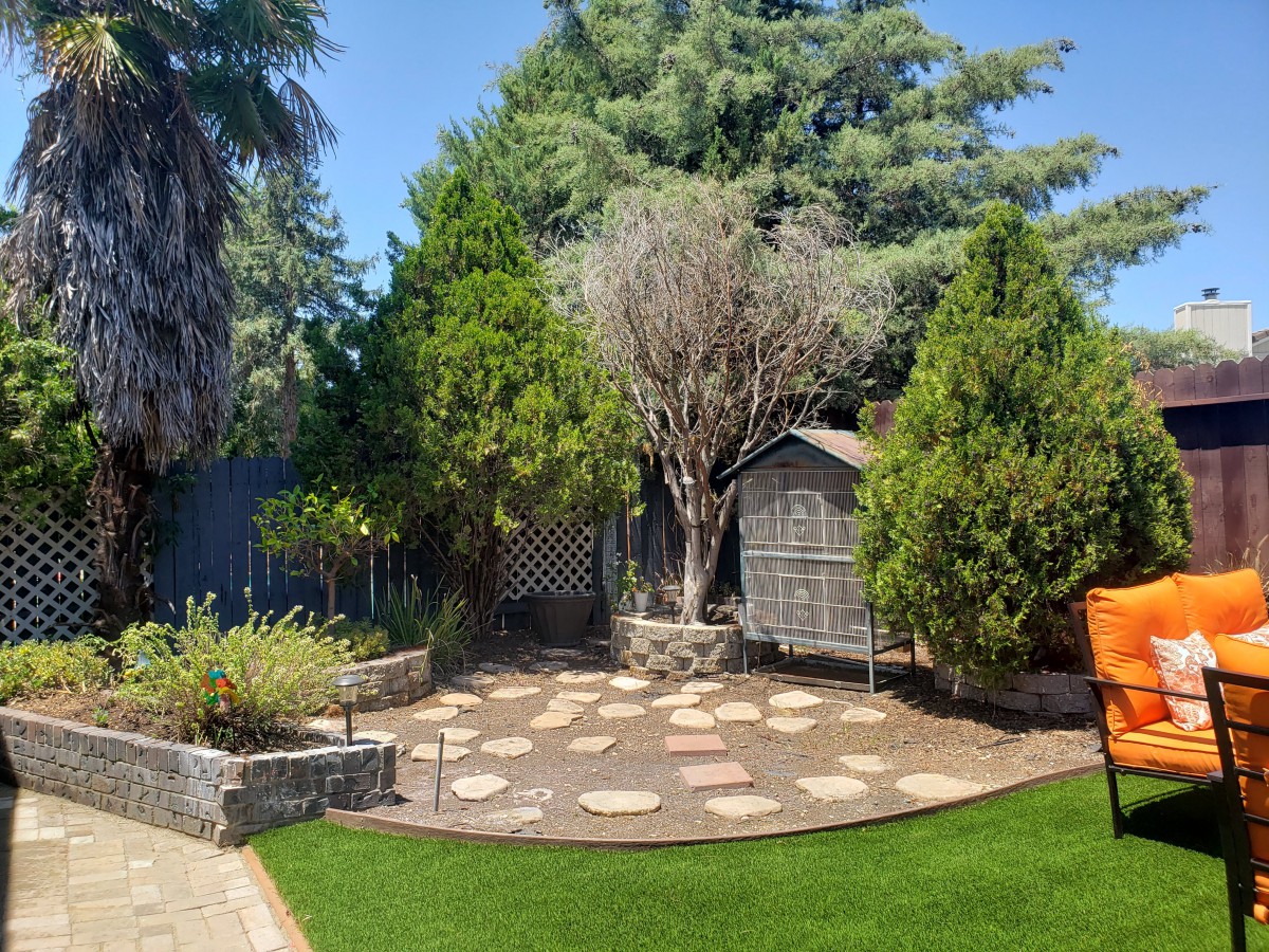 A well-maintained garden with a stone pathway and a small shed surrounded by trees.