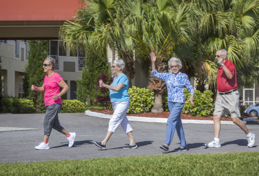 Stratford Court Of Palm Harbor