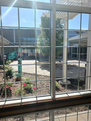 A bright view of a courtyard through a window, showcasing greenery and buildings.