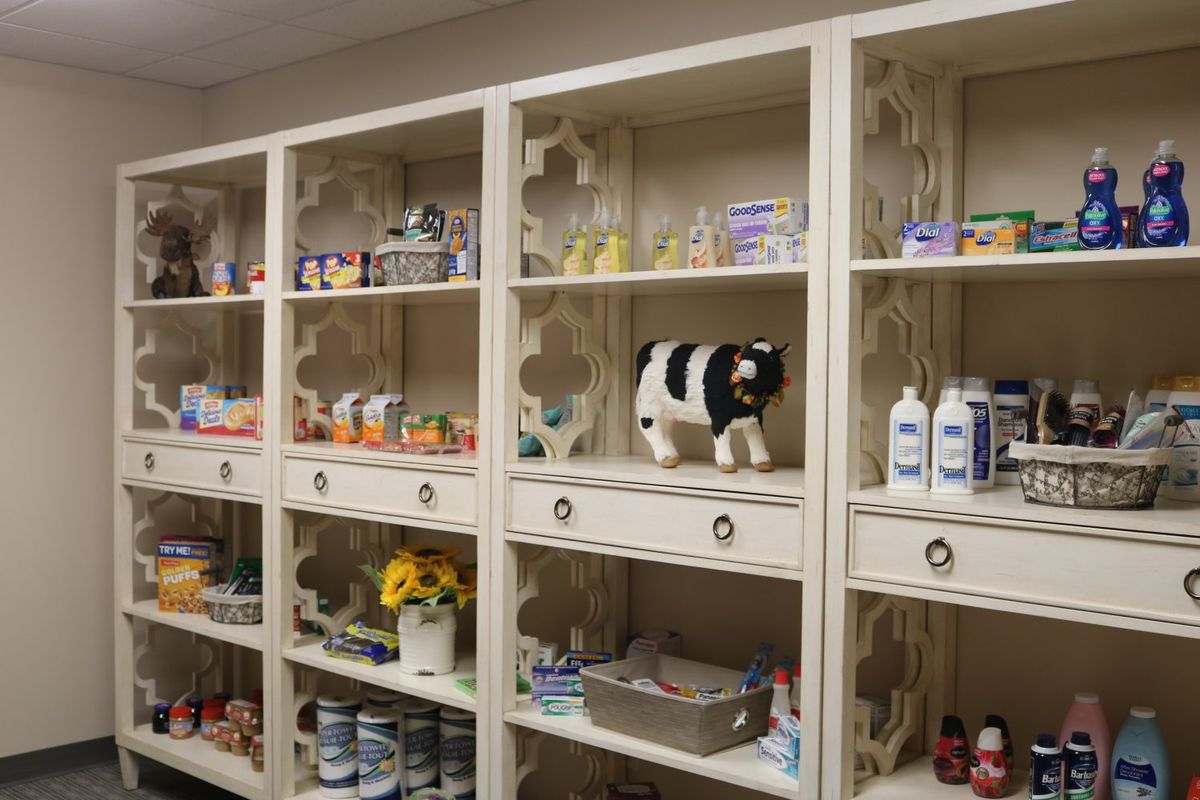 Shelves filled with various pet supplies and a cat figurine in a veterinary store.
