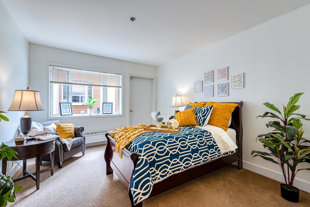A cozy and modern bedroom featuring stylish bedding and ample natural light.