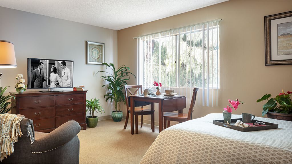 A cozy, well-lit bedroom with a small dining table and indoor plants.