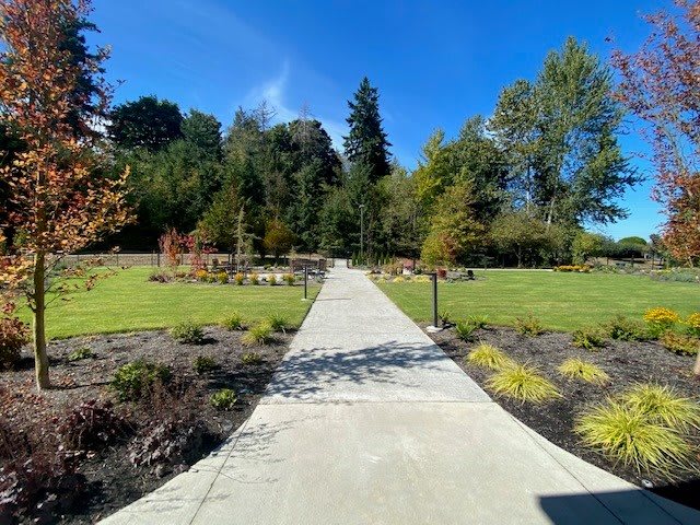 A scenic view of a park pathway lined with grass and trees under a clear blue sky.