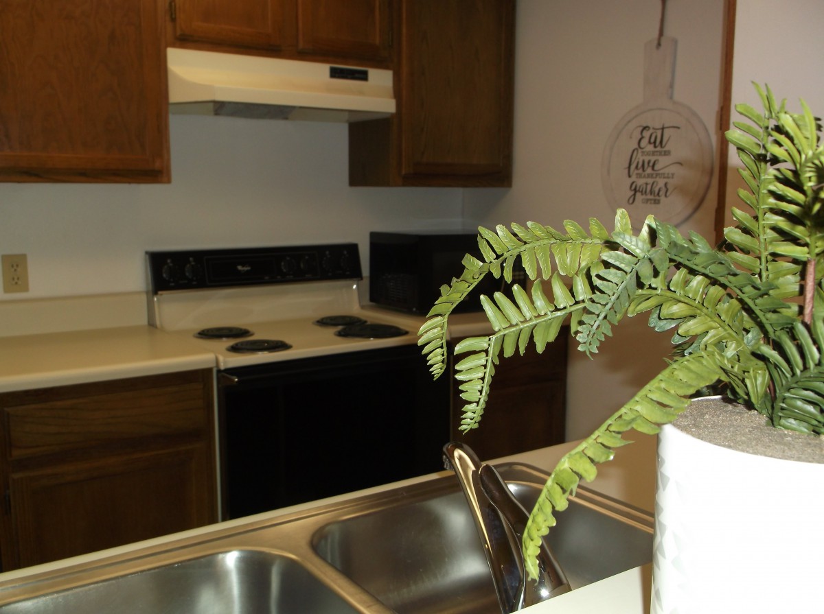 A cozy kitchen with a stove, oven, and a sink adorned with a plant on the countertop.