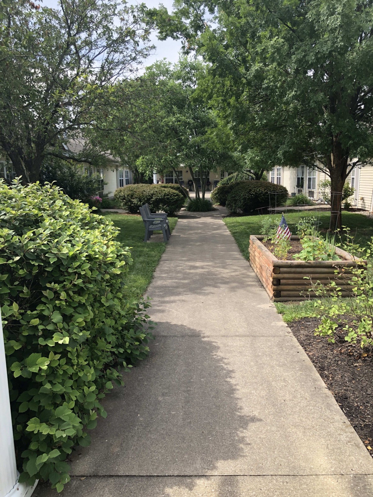 A peaceful garden pathway surrounded by lush greenery and trees.