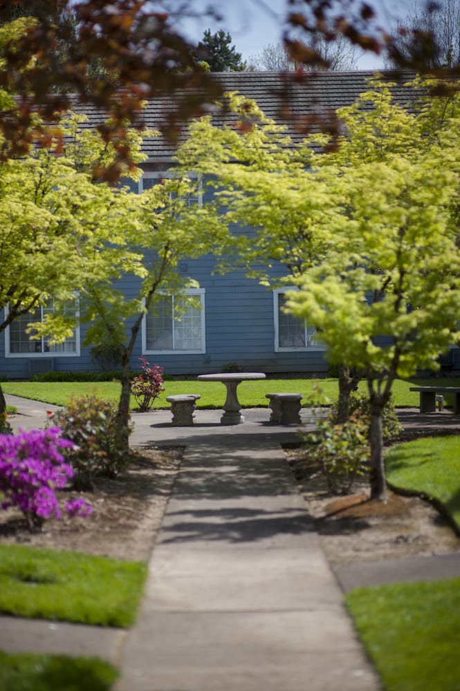 A serene garden setting with a stone pathway, surrounded by lush trees and vibrant flowers.