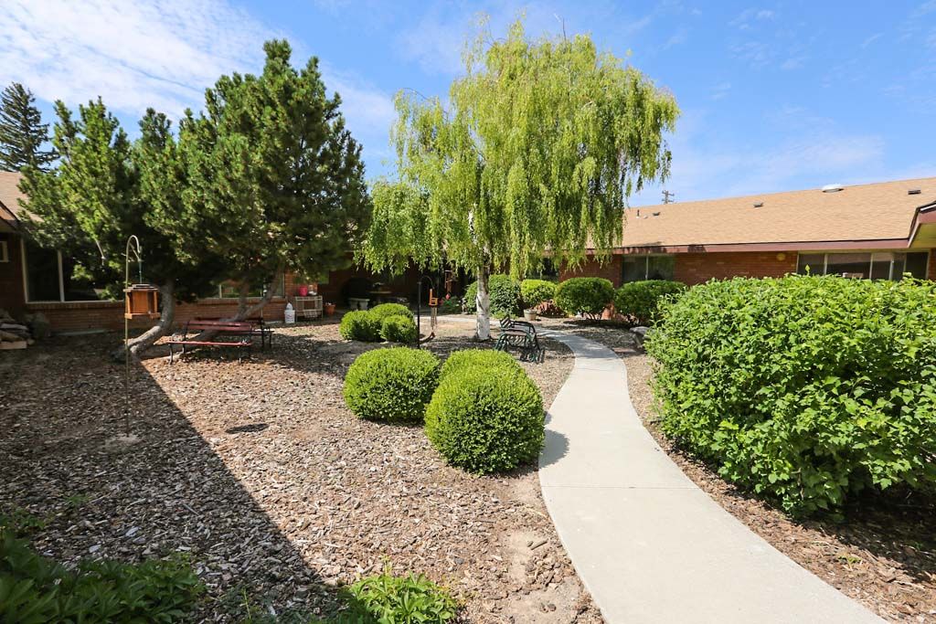 A well-maintained garden with a winding pathway, surrounded by various trees and shrubs.