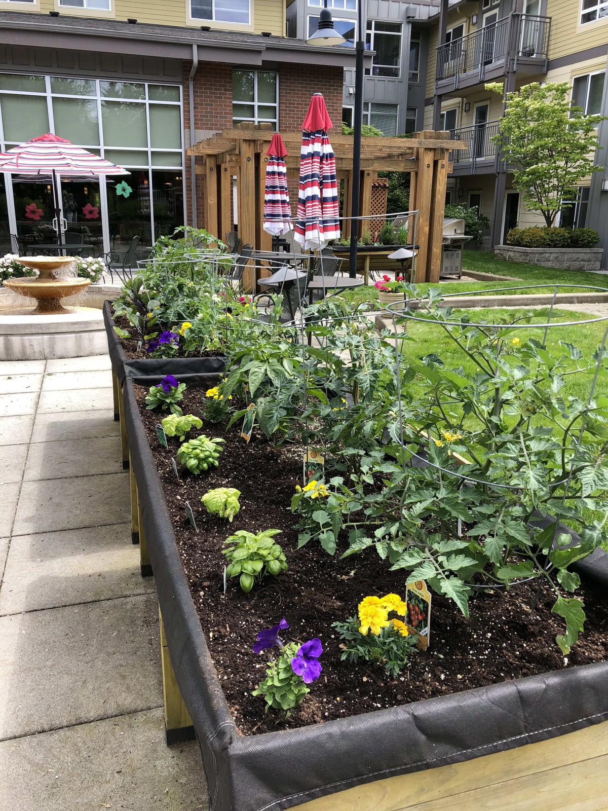 A vibrant urban garden with raised beds filled with vegetables and colorful flowers.