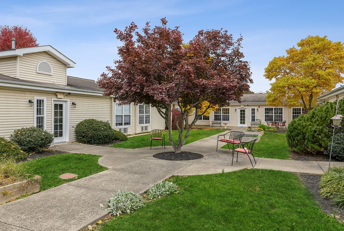 A serene courtyard with a central tree, surrounded by buildings and pathways.