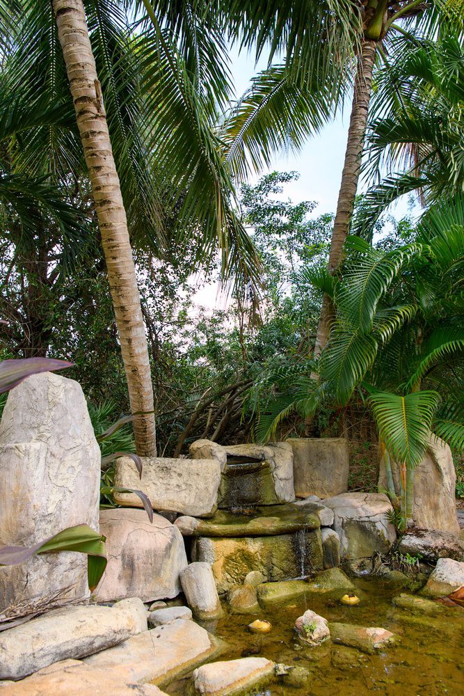 A serene tropical garden with palm trees and a stone structure.