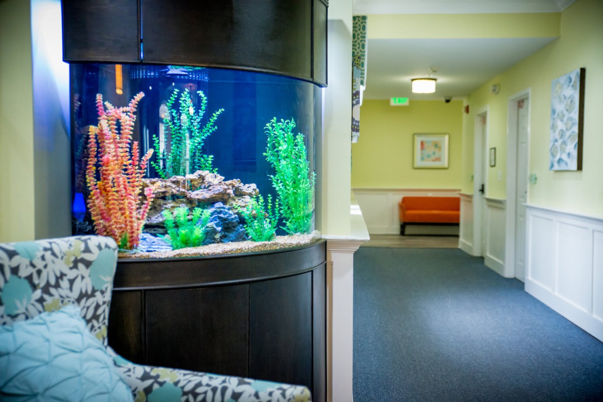 A brightly lit hallway featuring a large, vibrant aquarium and cozy seating.