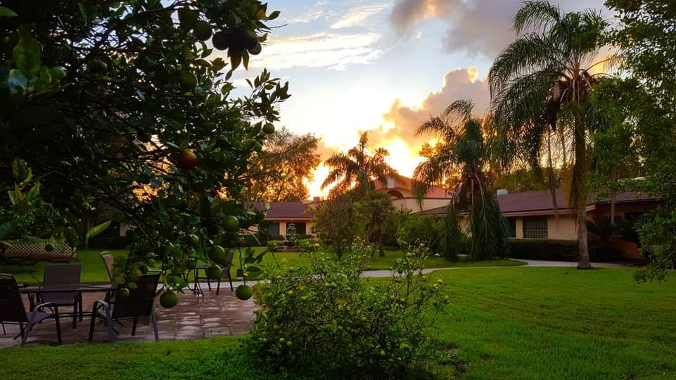 Diamond Assisted Living