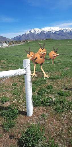 A whimsical three-headed bird perched on a fence post in a grassy field.