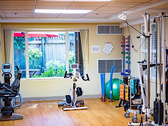 A well-equipped gym with various exercise machines and weights by a large window.