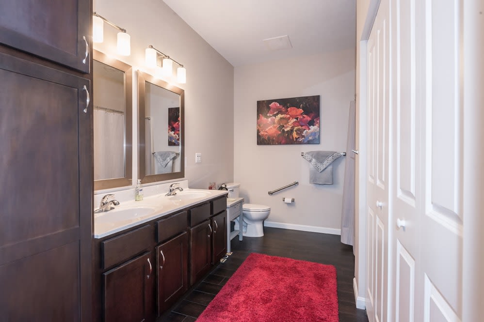 Modern bathroom with dual sinks and a red rug.
