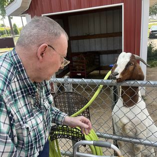 A man engaging with a goat by a fence on a farm.