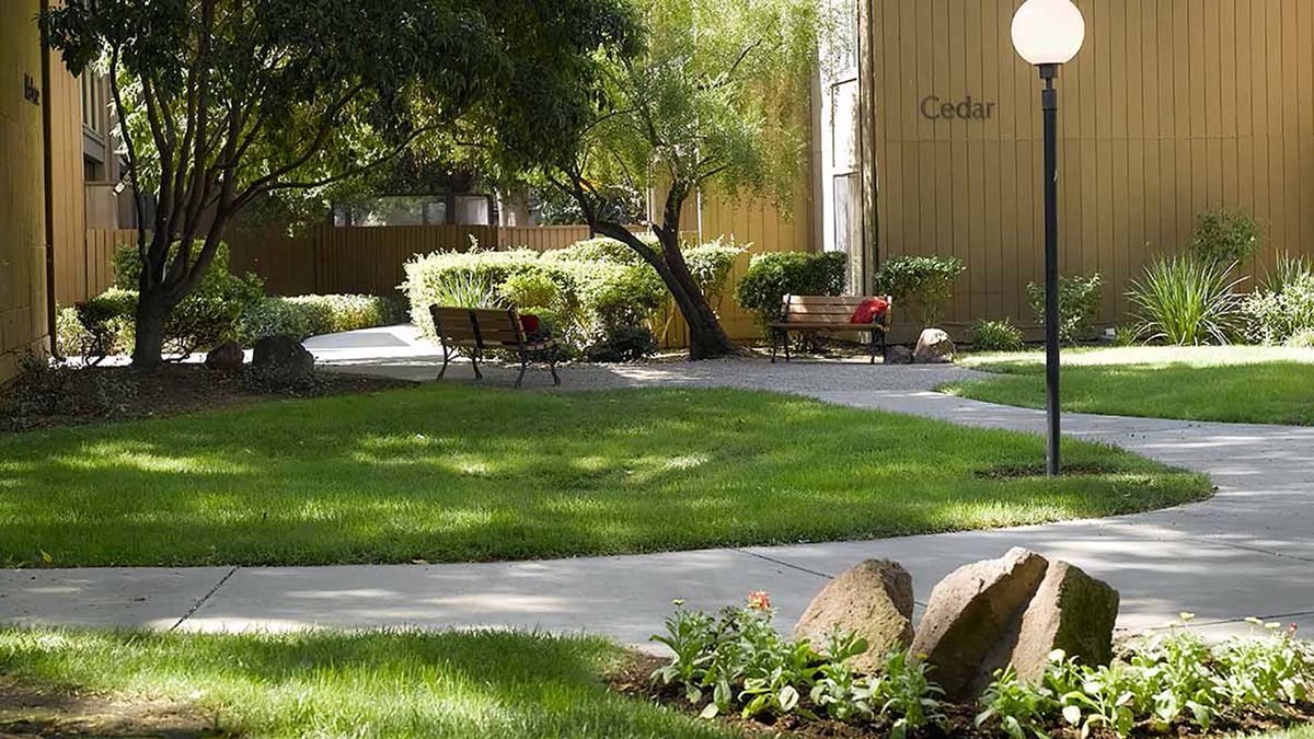 A serene garden with a winding pathway, shaded benches, and lush greenery.