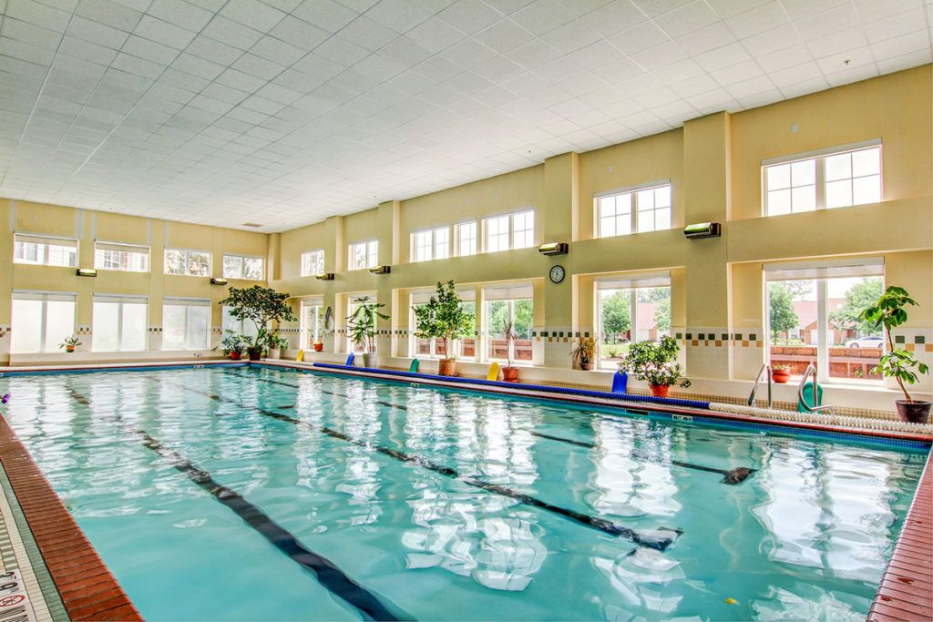 An indoor swimming pool with lanes, surrounded by large windows and potted plants.