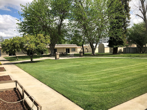 A well-maintained lawn surrounded by trees and buildings under a clear sky.