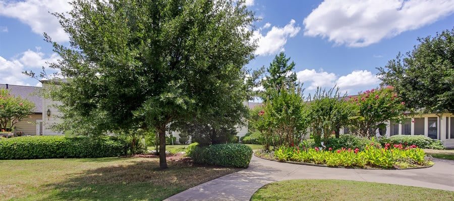 A peaceful park scene with a winding pathway surrounded by lush greenery and trees under a clear blue sky.