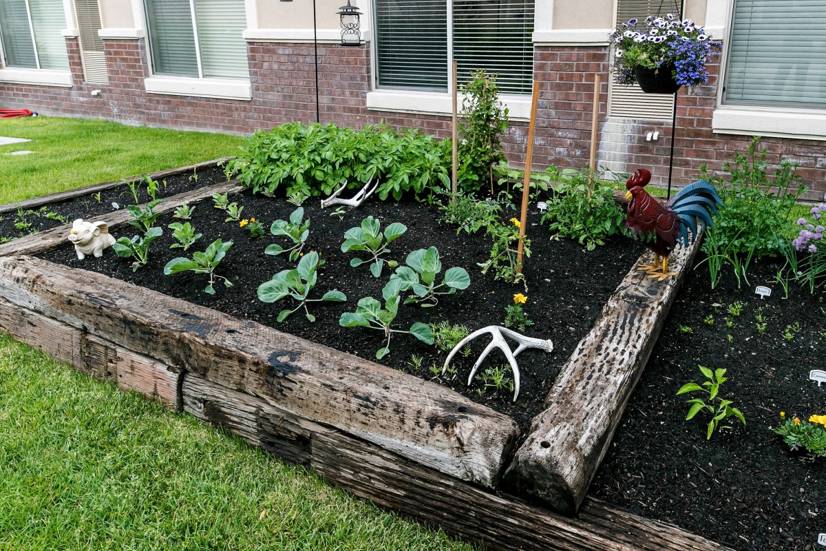 A well-maintained raised garden bed with various vegetables growing.
