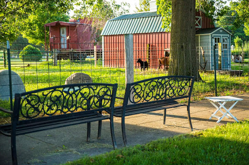 A peaceful outdoor scene featuring elegant benches overlooking a grassy area with animals and rustic buildings.