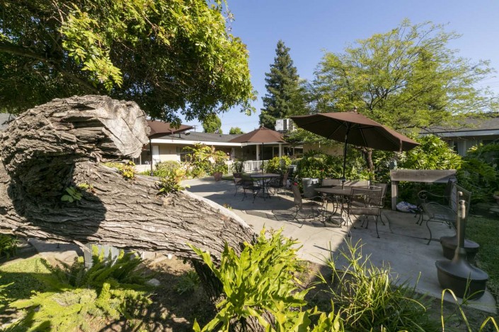 A sunny garden patio with outdoor furniture and lush greenery.