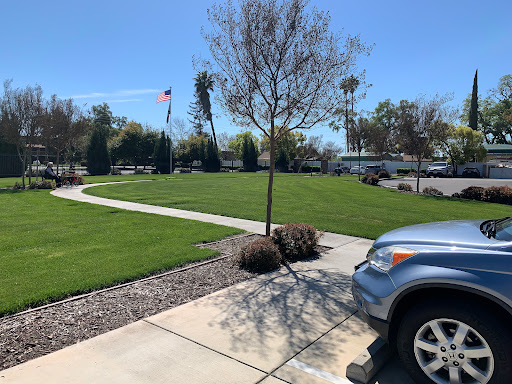 A serene park area with well-maintained grass and a lone tree, featuring a parked car under a clear blue sky.