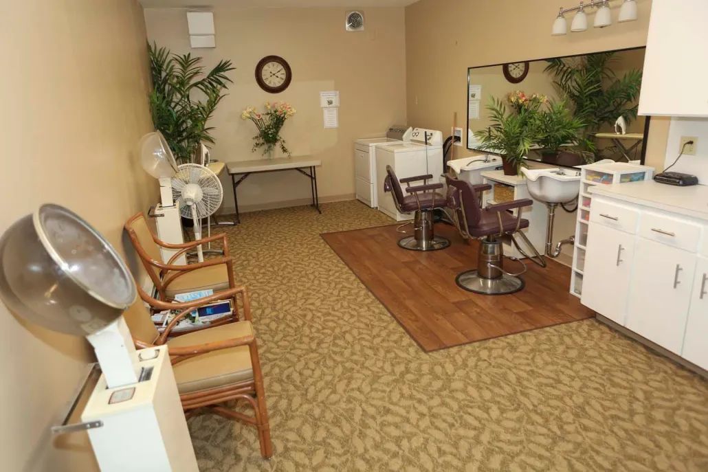 An interior view of a hair salon featuring styling stations, chairs, and decorative plants.