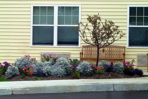 A peaceful garden scene featuring colorful flowers, a small tree, and a wooden bench beside a window.