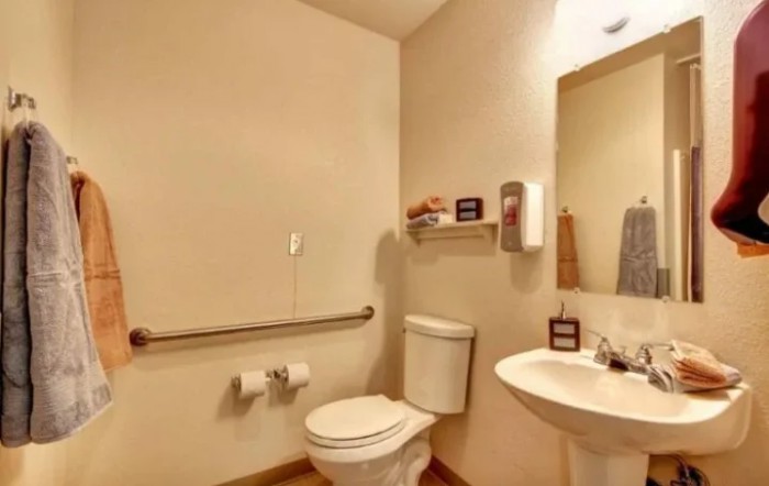 An accessible bathroom with a toilet, sink, mirror, and grab bar.