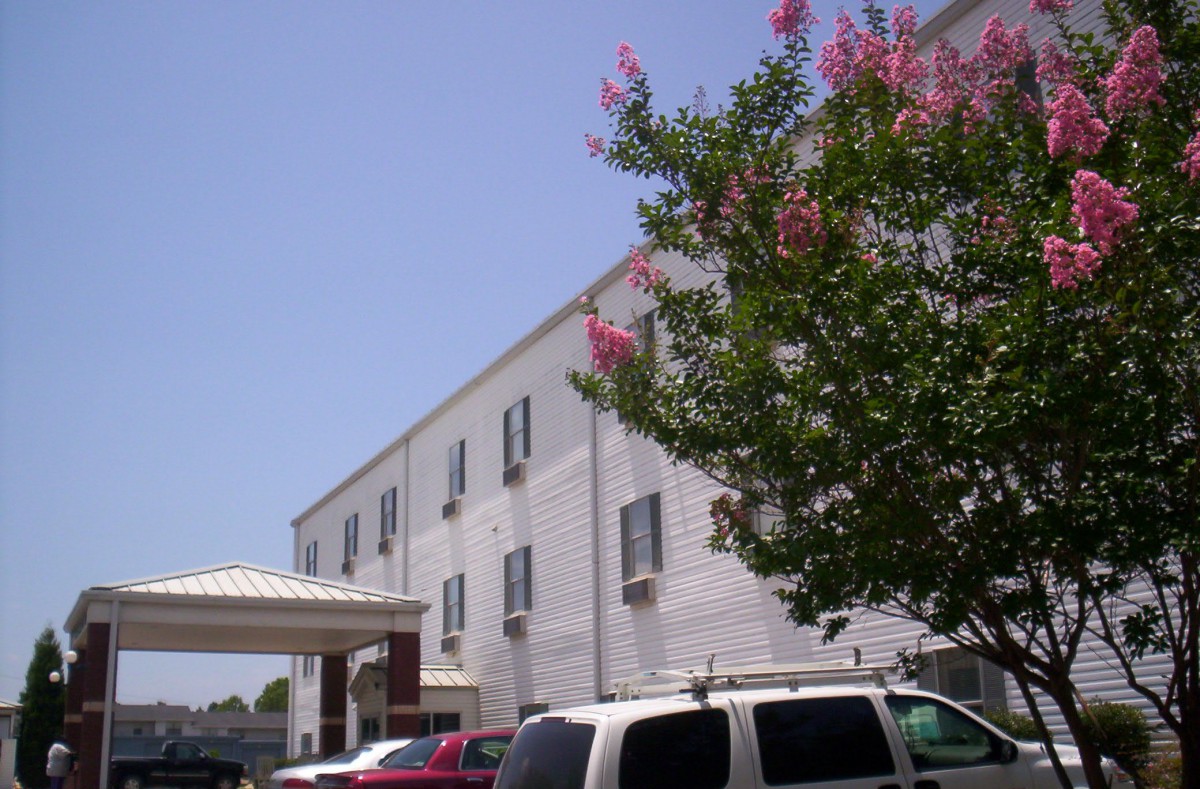 A three-story building with a flowered tree and parked cars under a clear blue sky.