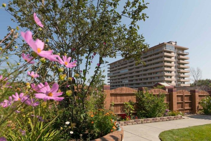 A serene garden with blooming flowers and a pathway, set against the backdrop of an apartment building.