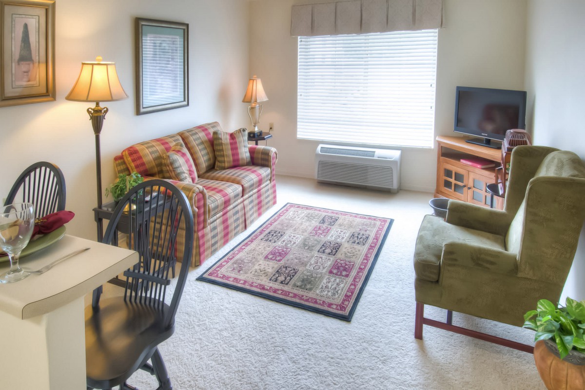 A cozy living room with a patterned sofa, armchair, and a carpet, featuring a TV and a large window.