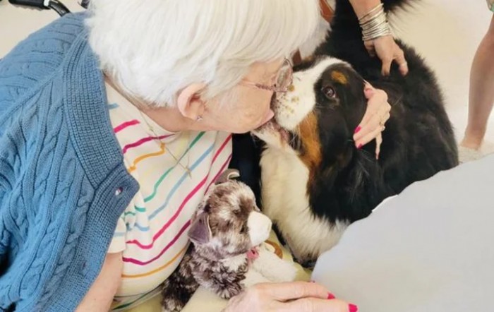 An elderly person shares a moment of affection with a dog indoors.