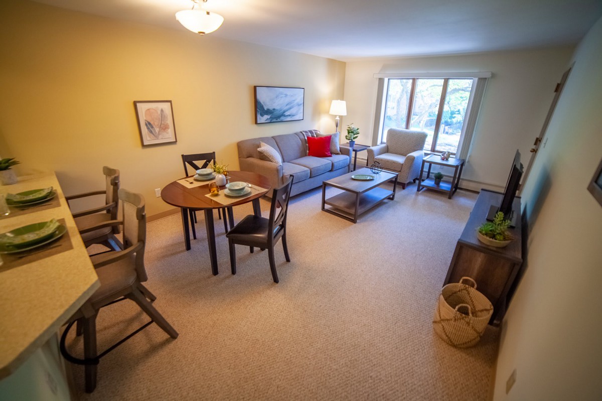 A cozy living room with a sofa, dining table with chairs, and natural light coming through the window.