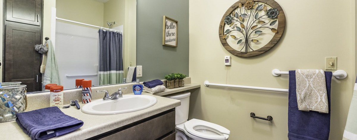 A well-organized bathroom featuring a sink, toilet, and decorative elements.