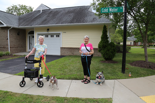Two elderly women enjoying a walk with their dogs in a quiet neighborhood.