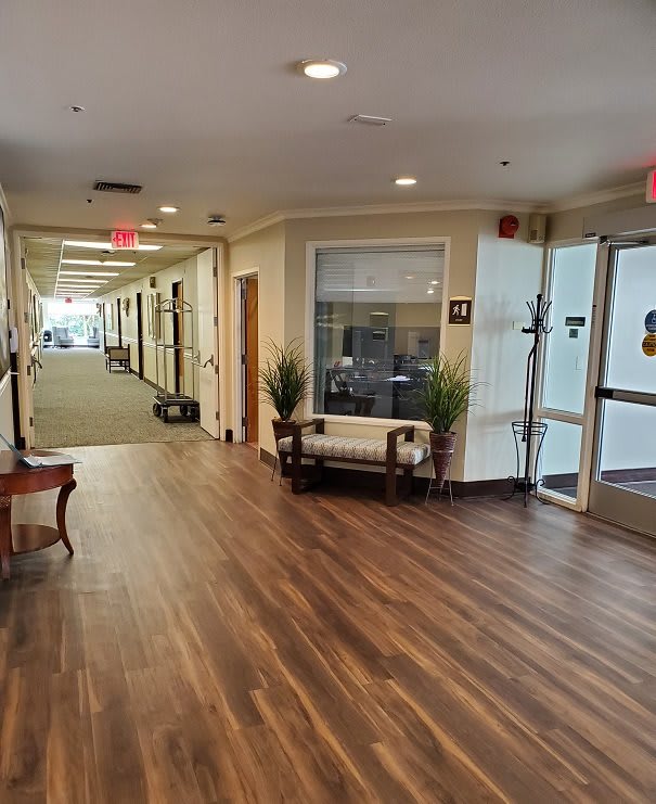 A spacious office hallway with wooden flooring and decorative plants.