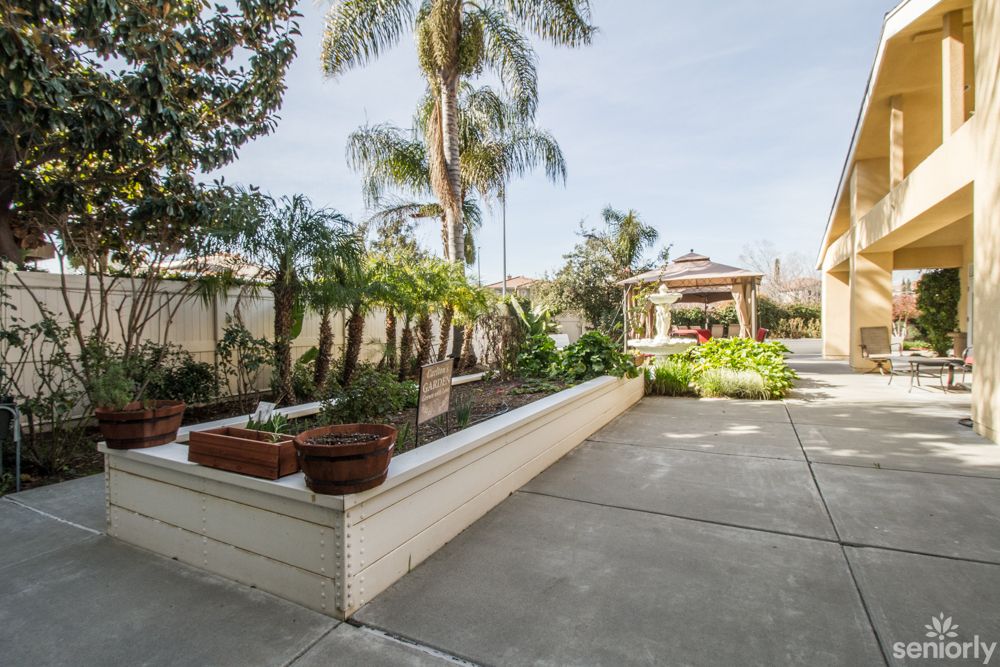 A spacious patio with palm trees, planters, and a gazebo in the background.