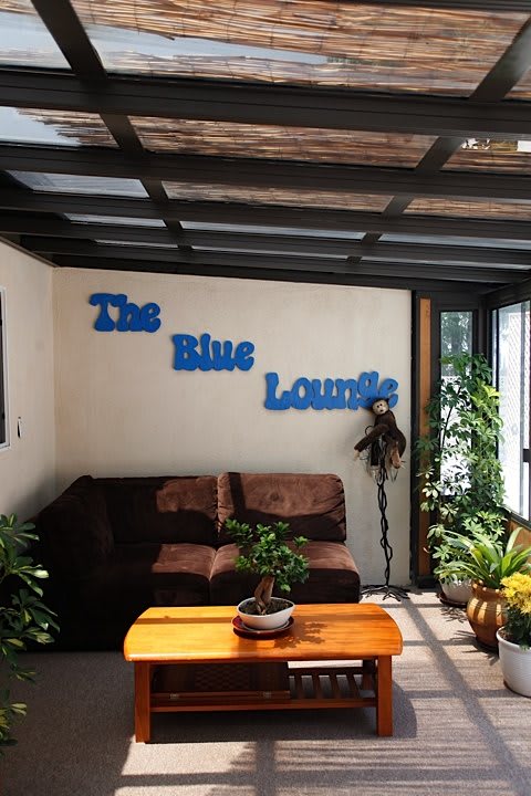 A cozy lounge area named 'The Blue Lounge' featuring a sofa, wooden table, and greenery under natural light.