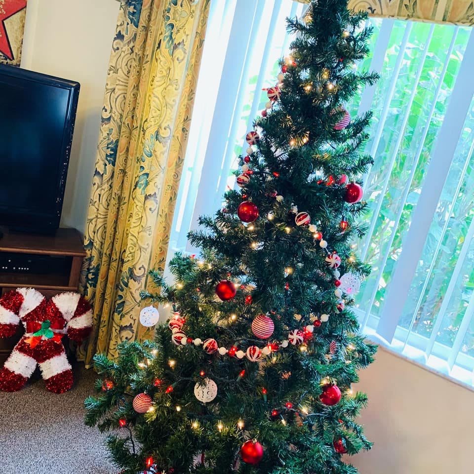 A beautifully decorated Christmas tree stands indoors, adorned with lights and ornaments, creating a festive holiday atmosphere.